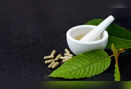 Tradicionalmente utilizada para aliviar dores e sintomas de abstinência, a erva tem sido comercializada em versões ultra-concentradas, como cápsulas