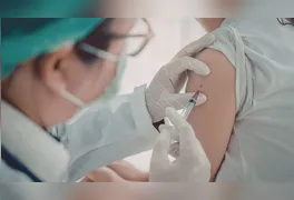 O Ministério da Saúde informou que os kits já estão sendo enviados com prioridade para estados que registram altos índices de infestação pelo mosquito Aedes aegypti.