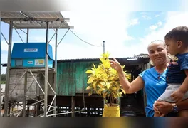 A Equatorial Pará segue reafirmando seu compromisso com a qualidade e a continuidade do fornecimento de energia elétrica