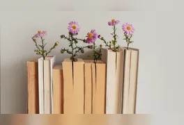 Data instituída pela UNESCO celebra a importância da leitura, o papel dos autores e a proteção aos direitos de propriedade intelectual.