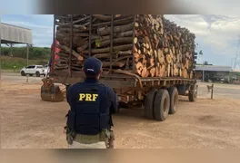 Segundo a PRF, a ausência do DOF configura crime ambiental