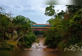 A composição da Estrada de Ferro Carajás corta a densa vegetação amazônica; registro faz parte das 200 imagens que compõem a obra.