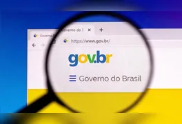 Interface de site falso que simula a página de login do sistema Gov.br para capturar dados de usuários.