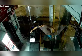 Câmera de segurança flagra o momento exato em que o criminoso arromba a porta de vidro do estabelecimento.