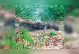 Perícia técnica trabalha no isolamento da área onde o corpo de Maria do Socorro foi localizado na manhã desta terça-feira.