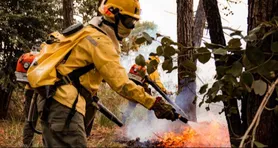 O prazo para o certame está se encerrando