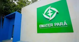 EMATER-Pará: as vagas são destinadas a candidatos de níveis fundamental, médio e superior.