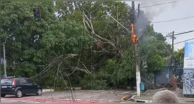 Árvore caiu no meio da pista e provocou incêndio em fiação elétrica na avenida Pedro Miranda, em Belém.