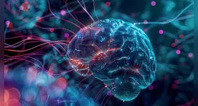 Entenda como o desenvolvimento do lobo frontal se estende e como isso impacta decisões e comportamentos na juventude.