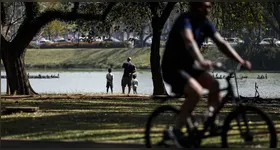 Quem terá o melhor ano econômico de sua vida em 2026