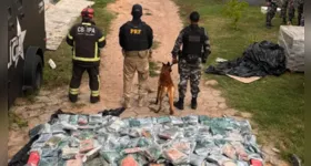 Novo 3º Canil Setorial da PMPA reforça o combate ao tráfico de drogas no sudeste do Pará e já registra apreensão superior a uma tonelada de entorpecentes em Marabá.