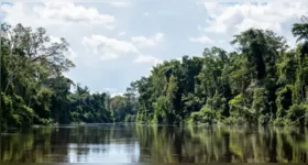 A governadora Hana Ghassan sanciona lei que cria o Dia Estadual das Unidades de Conservação, reforçando a importância da biodiversidade e do desenvolvimento sustentável no Pará.