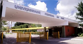 O crescimento no topo da pirâmide acadêmica é o dado mais expressivo da série histórica.