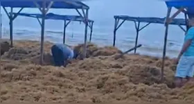 O registro da situação foi feito por moradores da região e frequentadores da praia