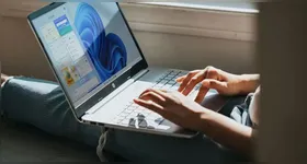 A principal preocupação está no aumento da temperatura na região genital