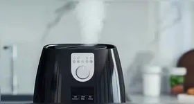 Fumaça pode ser sinal de comidas gordurosas na air fryer