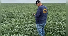 Dados da Adepará revelam que a soja segue em franca expansão no estado.