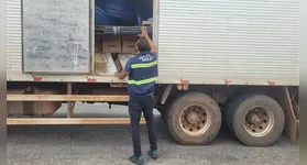 As fiscalizações ocorreram de forma estratégica nos municípios de Marabá, Novo Progresso e Cachoeira do Piriá