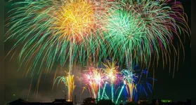 Recomendação é para evitar uso de fogos de artifício com barulho
