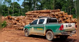 Diferente da maioria das seleções federais, as inscrições para este processo seletivo serão presenciais e gratuitas.