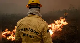 Diferente da maioria das seleções federais, as inscrições para este processo seletivo serão presenciais e gratuitas.