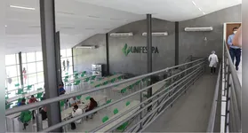 Um dos diferenciais deste edital é o incentivo à economia local e aos pequenos empreendedores.