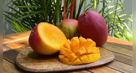 O grande diferencial apontado pela pesquisa foi o aumento da sensibilidade à insulina.