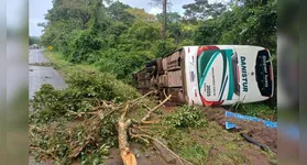 Ônibus da empresa Danistur tombado em vala lateral na BR-153 após desvio de obstáculo.