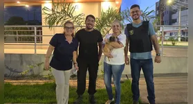 O alerta veio da ONG Focinhos Carentes, coordenada por Dona Fátima