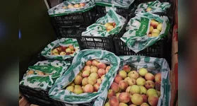 A procura se concentra, principalmente, em bacalhau e frutas da época, essenciais nas ceias natalina e da virada de ano.