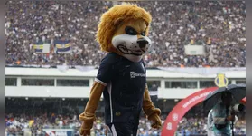 De volta à Série A do Campeonato Brasileiro, o Leão Azul planeja uma temporada de forte investimento esportivo.