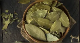 As folhas de louro podem atrair prosperidade e proteção.