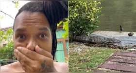 Jacaré flagrado no quintal da casa de Duh Marinho, na Ilha da Gigóia, no Rio de Janeiro.