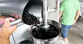 Venda de açaí foi interditada de forma preventiva após denúncias de possível contaminação por doença de Chagas em Ananindeua.