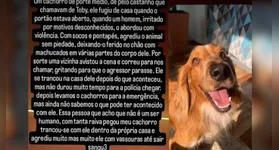 Tutores relataram nas redes sociais a agressão