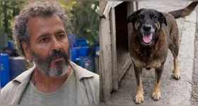 Marcos Palmeira divulgou nota em que lamenta o uso indevido de sua imagem.