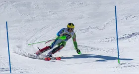 A Agência Mundial Antidoping está investigando possíveis aumentos de pênis que trariam vantagens na competição