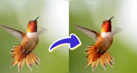 As ferramentas utilizam inteligência artificial para melhorar as imagens