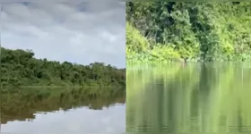 O registro foi feito por um homem que abastecia uma embarcação e percebeu a situação