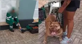 O caso foi registrado na Seccional de São Brás como omissão na guarda de animal perigoso.