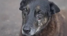 Espancamento que havia sido divulgado seria uma fake news