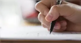 A diversidade de funções amplia as chances para profissionais de diferentes perfis e formações.