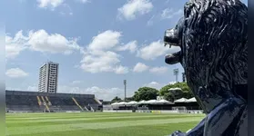 Imagem ilustrativa da notícia Clube do Remo: desconfianças que atrapalham