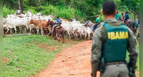 A ação cumpria uma decisão judicial do Supremo Tribunal Federal (STF), ajuizada em 2020