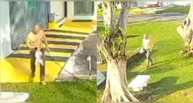 Cachorro foi resgatado em Belém após ser vítima de maus-tratos cometidos pelo próprio tutor. O caso encaminhado à DEMAPA.