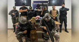 Durante a fiscalização, o cão farejador “Jay-Z” sinalizou a presença de material suspeito na parte frontal da balsa de cargas.