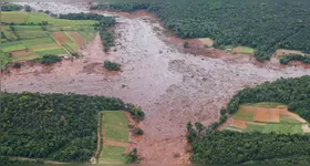 Cerca de 11 milhões de metros cúbicos de rejeitos foram analisados e os trabalhos foram concluídos em 23 de dezembro de 2025.