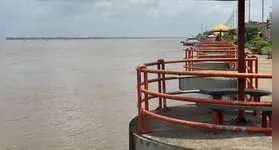 O corpo da jovem foi encontrado nas proximidades da Vila Tauari, no município de Itupiranga,