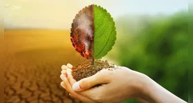 O enfrentamento às mudanças climáticas, marcadas por secas extremas e tempestades, está impulsionando um novo motor econômico