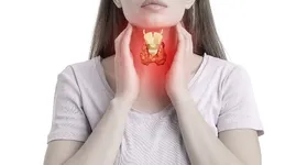 Especialistas desmistificam o papel de alimentos como soja e glúten no metabolismo